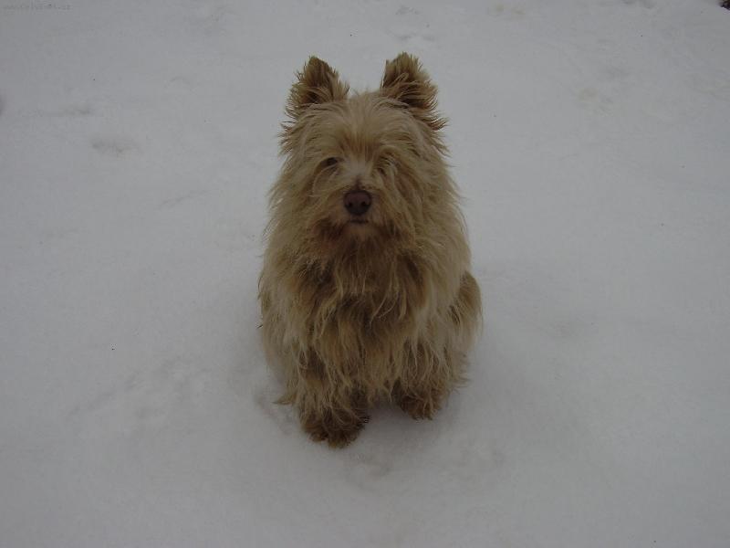 Foto: Abíček-no trochu neupravenej