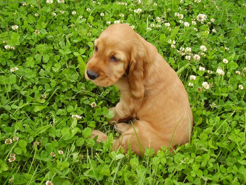 Foto: Hačí-Mielj Artur