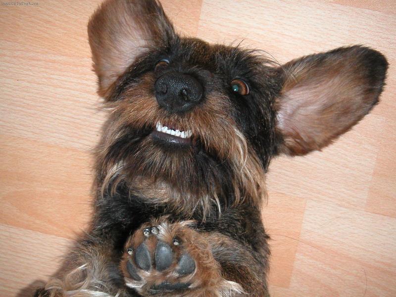 Foto: domácí pohodička