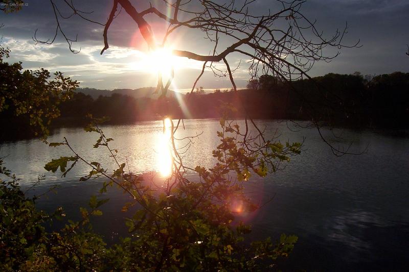 Foto: Slunce v korunách
