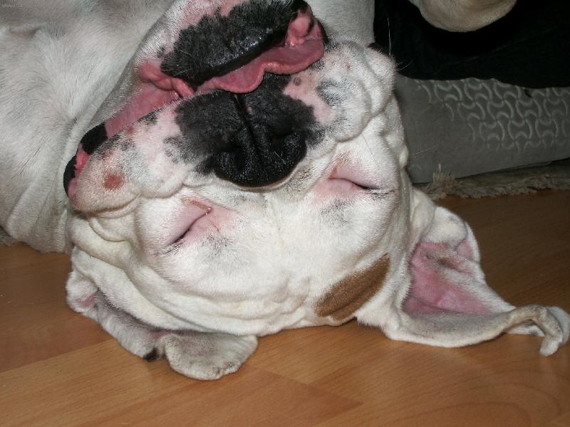 Foto: Dinuška-úsměv