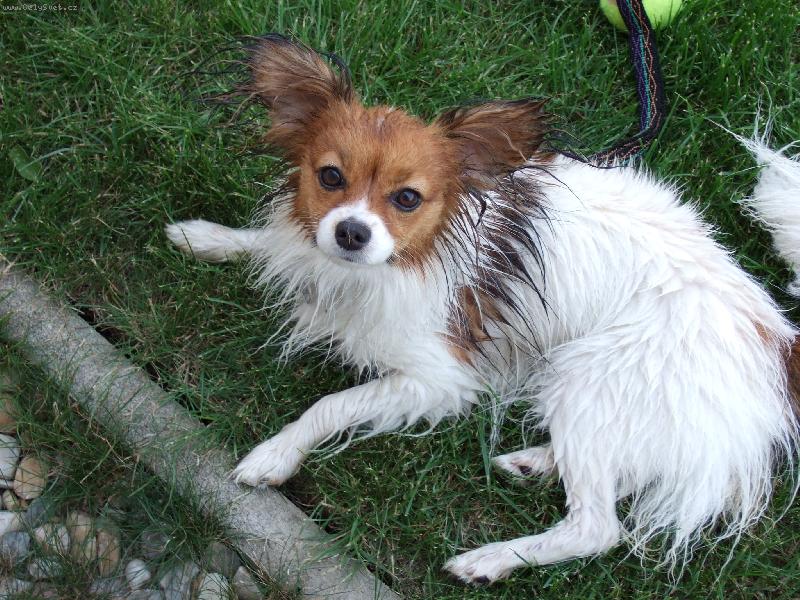 Foto: Mokrouš-Prvě jsem se vykoupala no, tak se nesmějte.