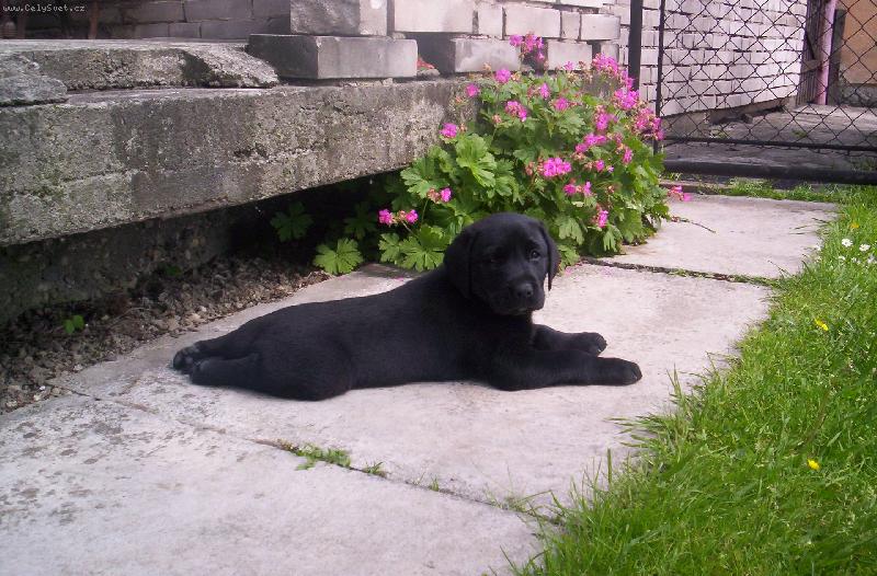 Foto: Annie - jen se tak trošku natáhnu