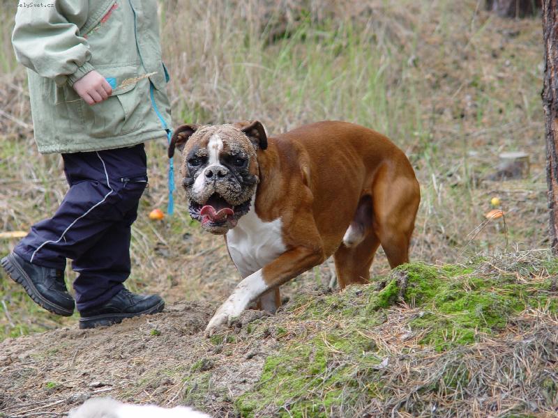 Foto: To by bylo, abych se nezahrabal... :o)-Procházka lesem a prohledávání nových míst...