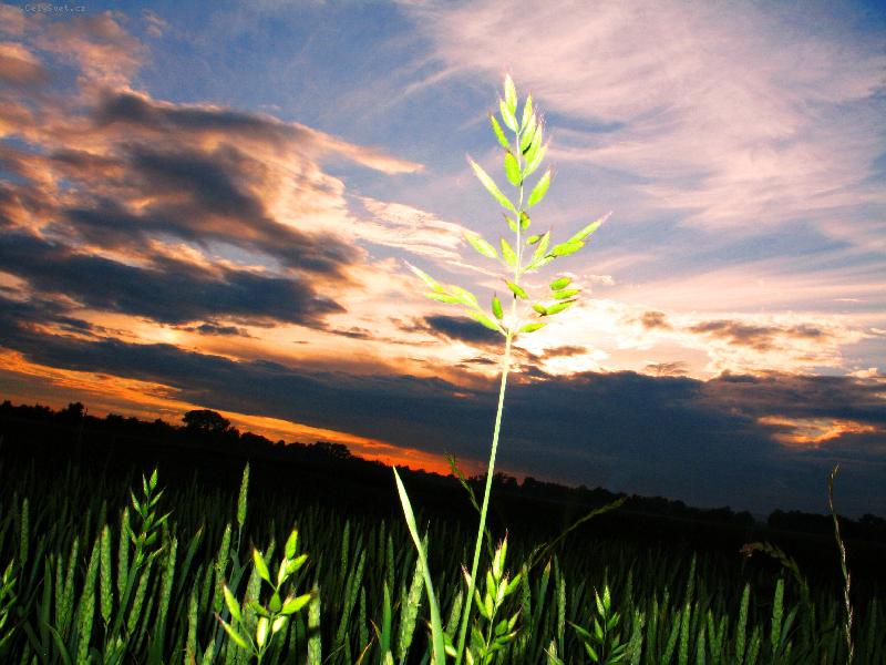 Foto: klas-západ slunce