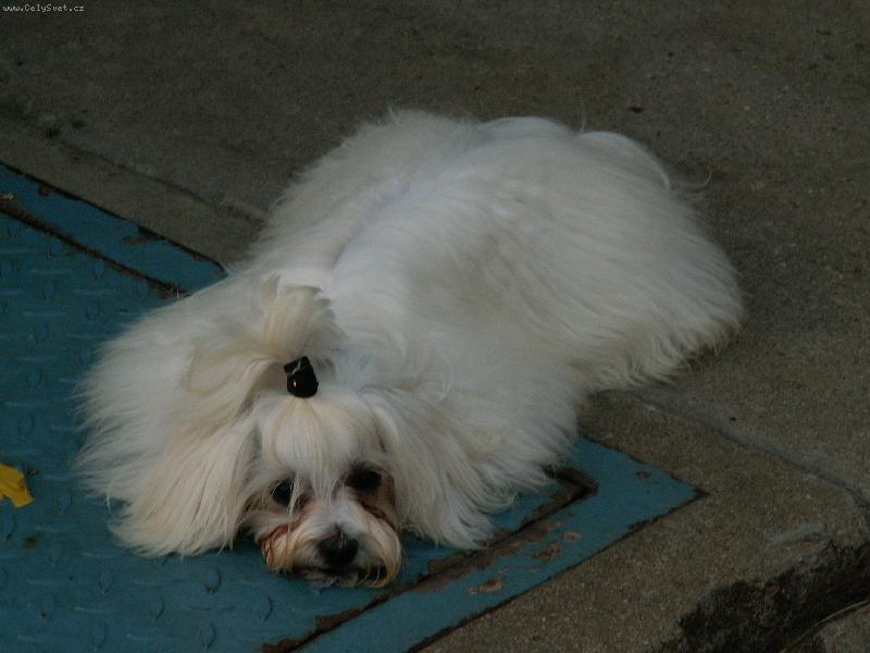 Foto: Evita-Tak kdy už půjdeme ?