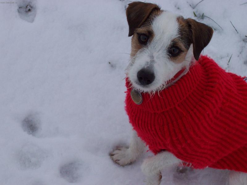 Foto: Nelinka venku-Nemáš něco dobrýho?