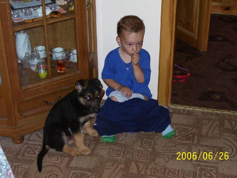 Foto: MALÝ HLÍDAČ-no tak nevím kdo koho hlídá