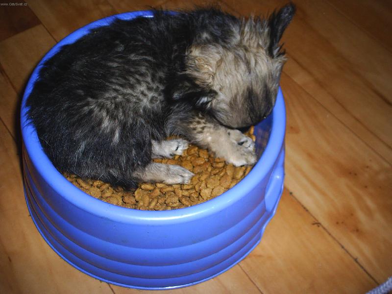 Foto: Démon-   Až se probudím,tak to všechno sním.