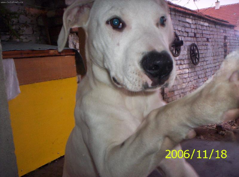 Foto: Fatimka-puste mě