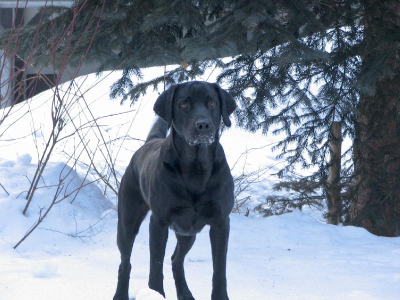 Foto: naše Ronuška