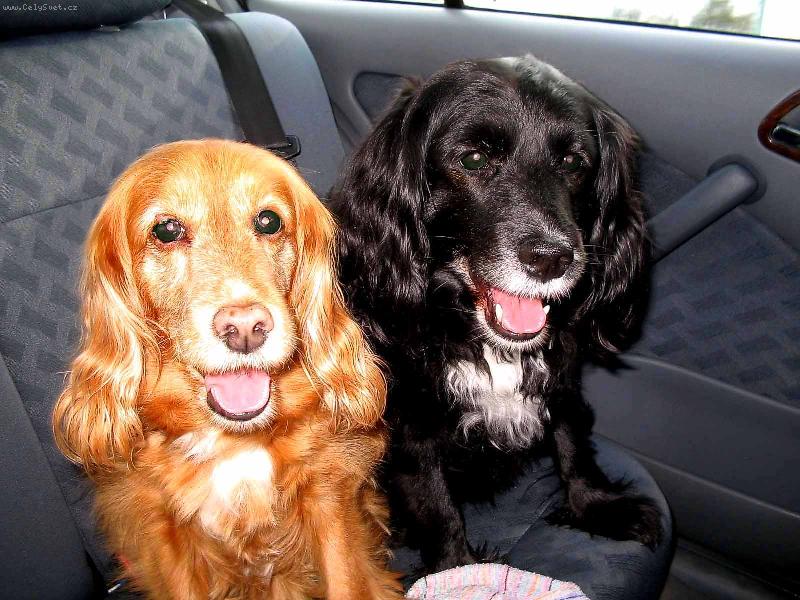 Foto: Rodinné foto-Tak už jedeme????