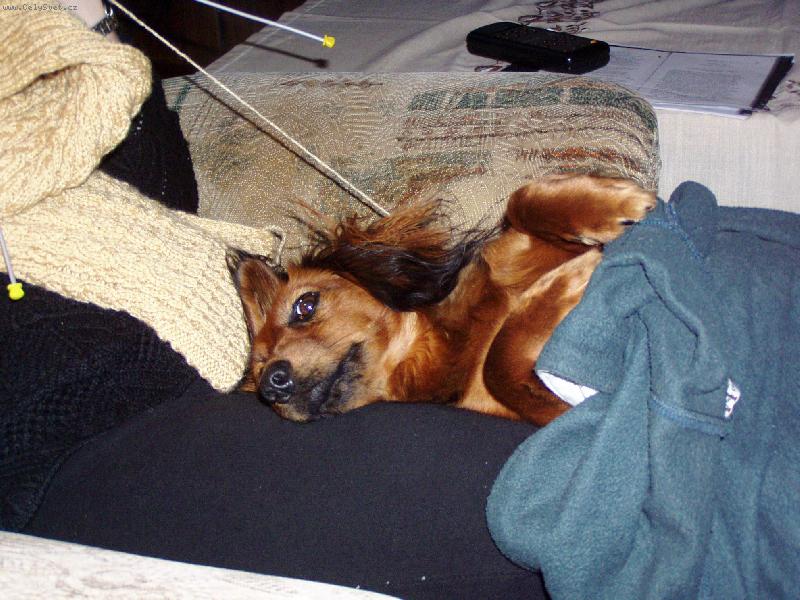 Foto: Sladký spánek-nejlépe se spí v mámimě pletení