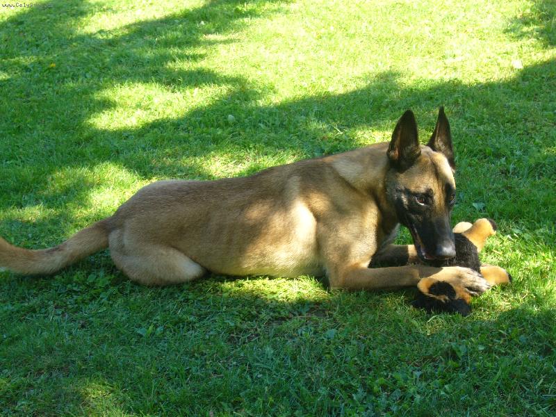 Foto: Nikomu nic nepůjčím