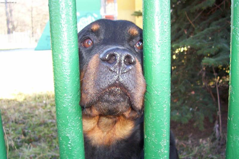 Foto: Puste mě na něj!