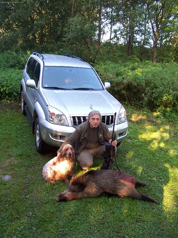 Foto: Našel jsem divočáka,vyhnal jsem ho, dohledal a stejně mi ho zase seberou.-Kokršpaněl DAR se svým prvním divočákem