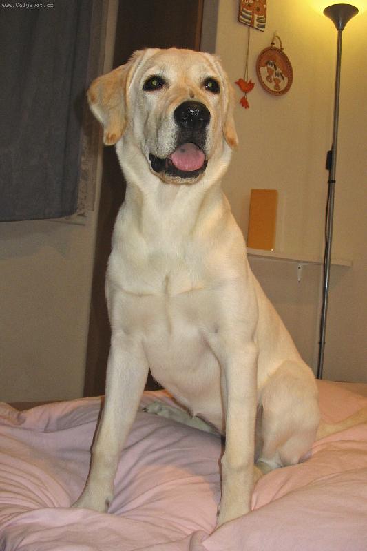 Foto: Aisha 6 měsíců