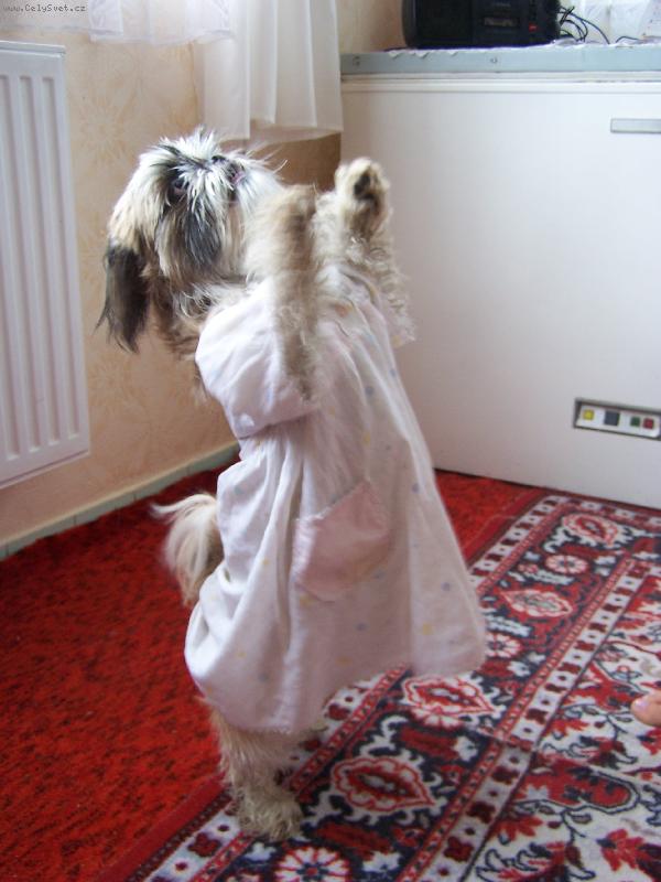 Foto: Priprava na tanecni-Tanyny tanyny