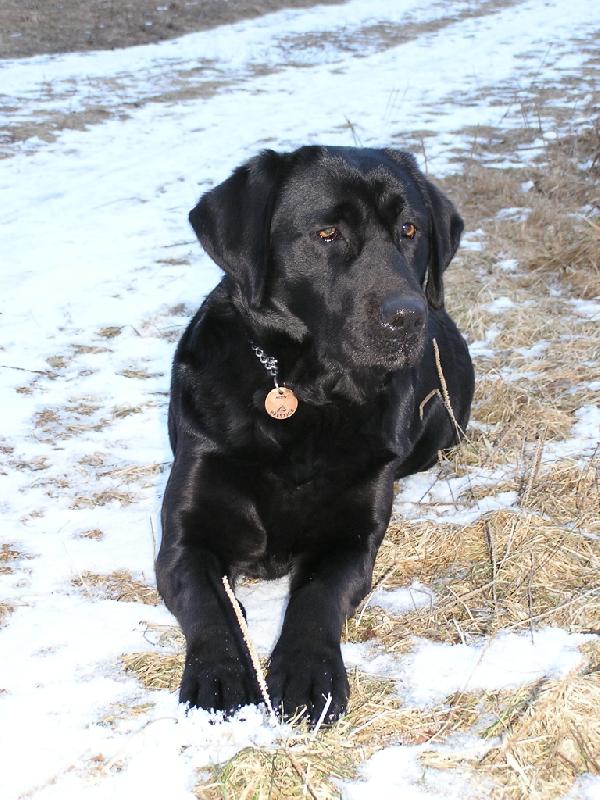 Foto: Brita-krásná procházka