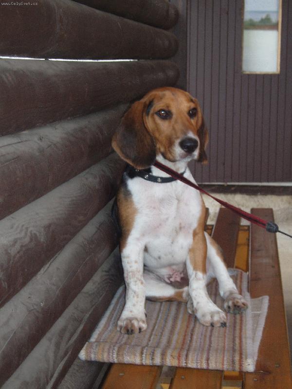 Foto: Naše zlobidlo-Naše zlobidlo