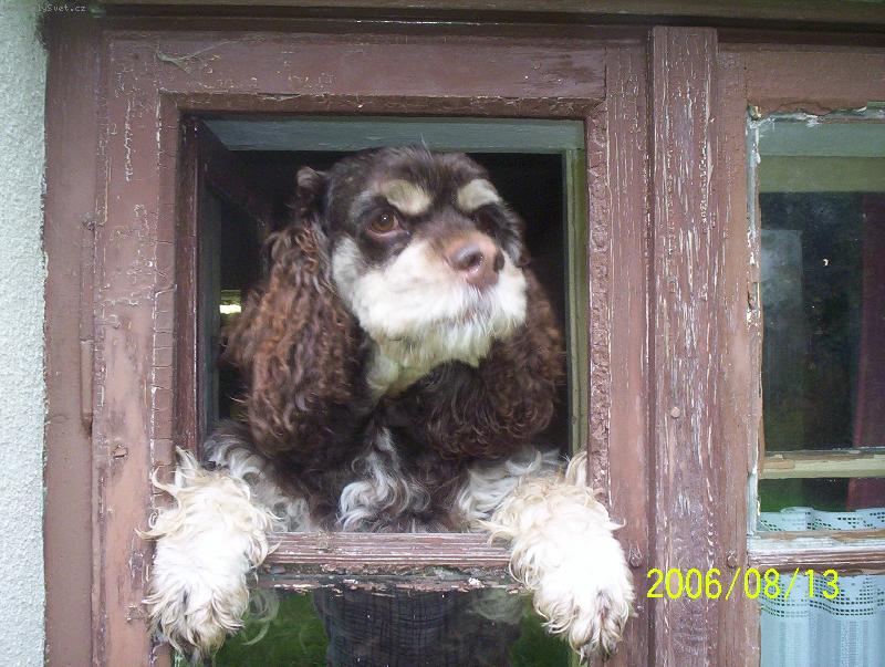 Foto: rozhled na celý svět-výhled z okna