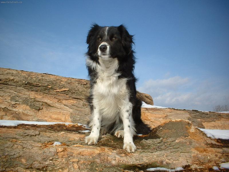 Foto: Tači-To je výhled