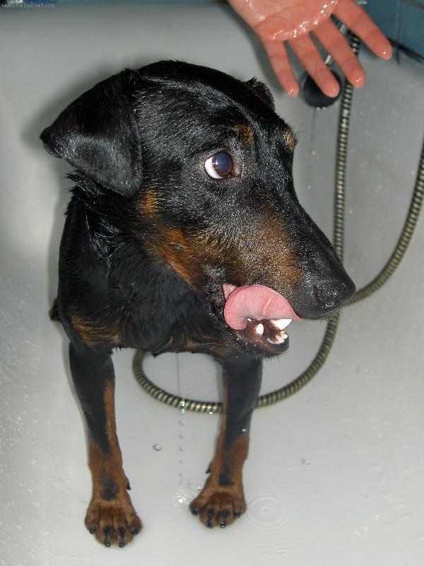 Foto: Argo-A vážně je to koupání nezbytné???