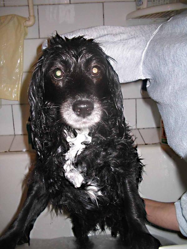 Foto: KOUPÁNÍ-Puste mě ven!!!