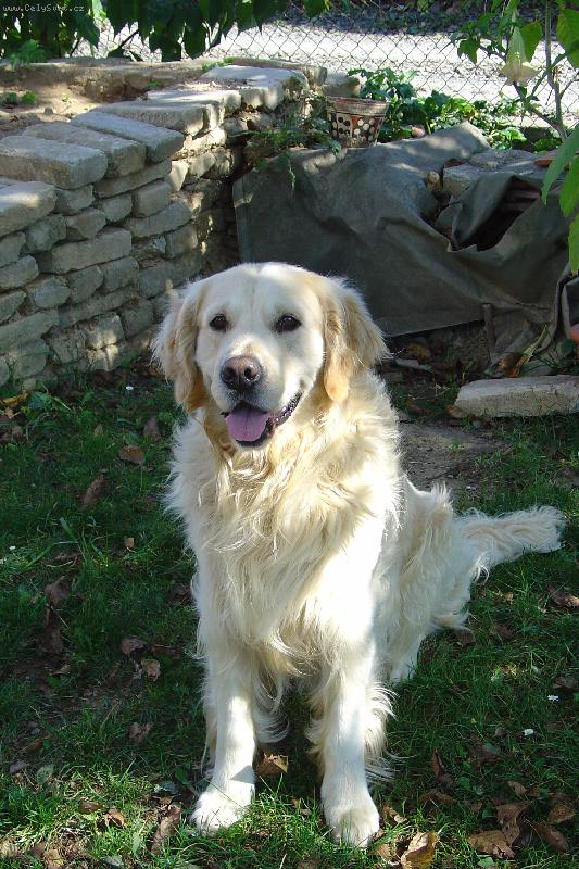 Foto: Dagoušek-můj miláček Dagísek