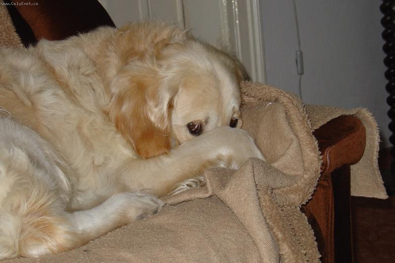 Foto: Dagísek na gauči-Stydíím se :o)