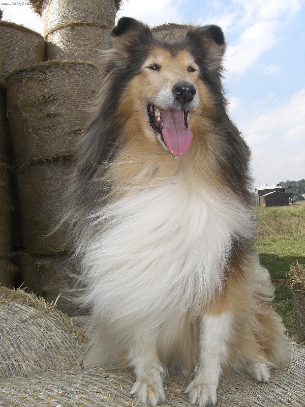 Foto: Bekuška-19.9. 2006