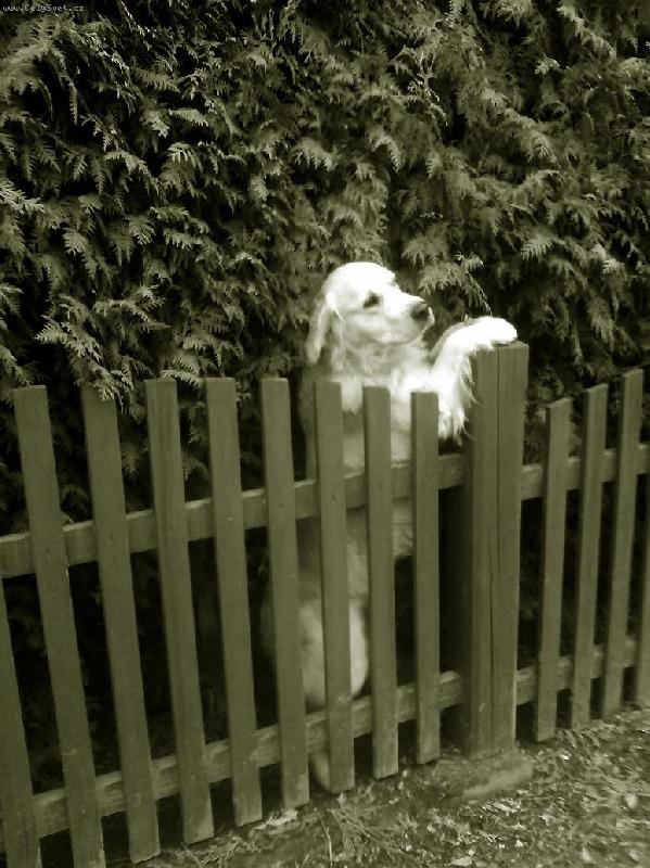 Foto: Tak Vám teda nějak zapózuju,když už jste tu s tim foťákem..stojim dobře?