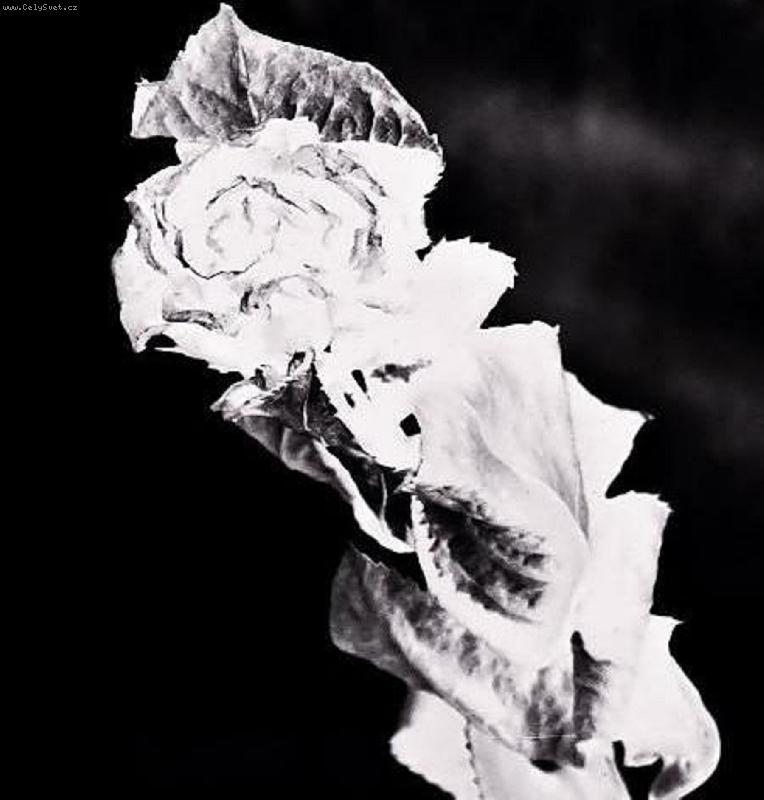 Foto: Nesmrtelná-...první z několika...