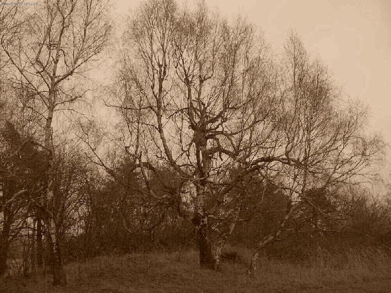 Foto: Jsem starší než foto