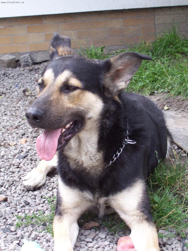 Foto: Bingošek-je nádherný že?