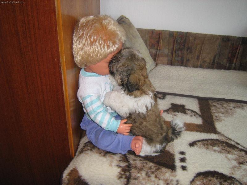 Foto: ...tak hernajs,kde máš ten čumák ?...-Sindulinka v akci...