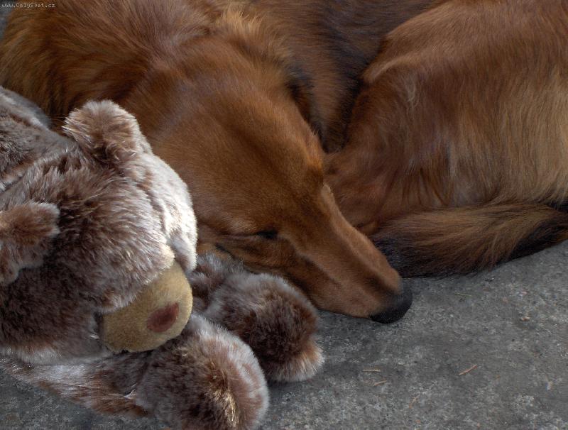 Foto: čendík-čendík a hajánek