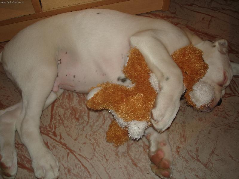 Foto: Sám neusnu-Spící Doneček