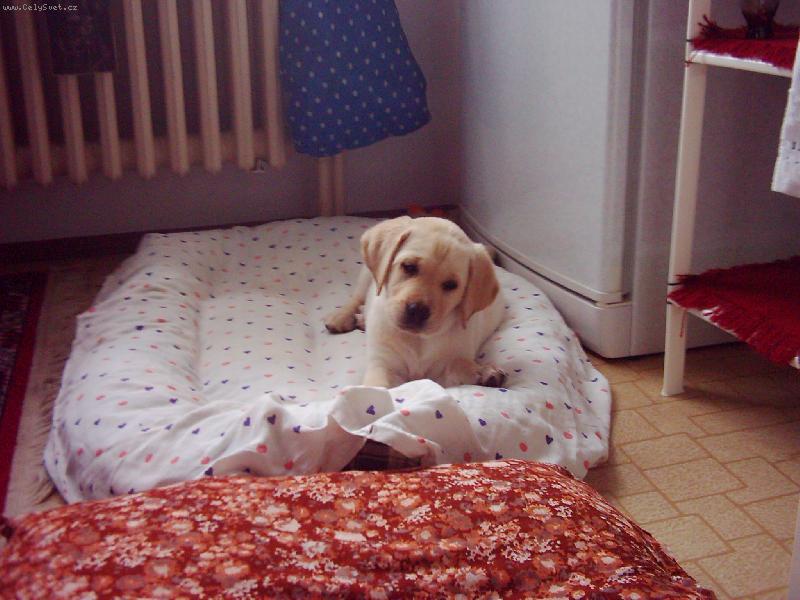 Foto: nevydávej ty zvuky....bojím se!!! Riki