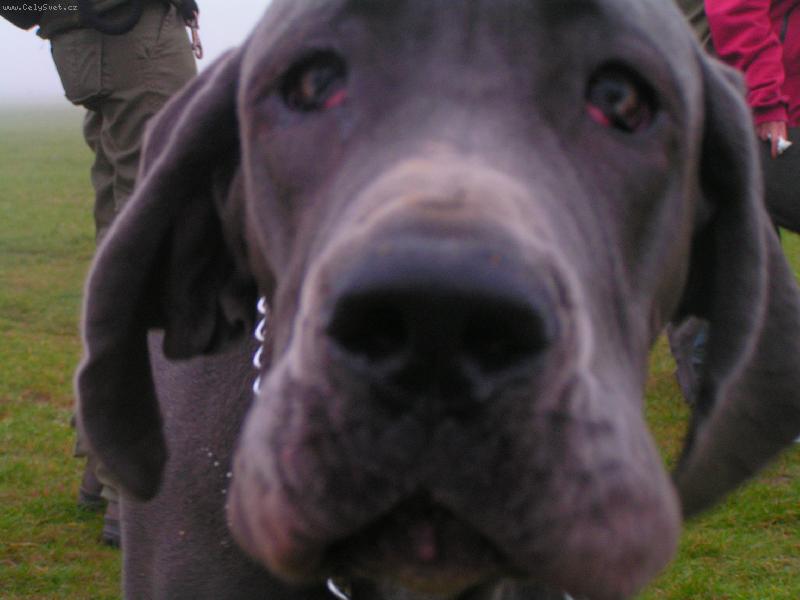 Foto: detail 8měsíců