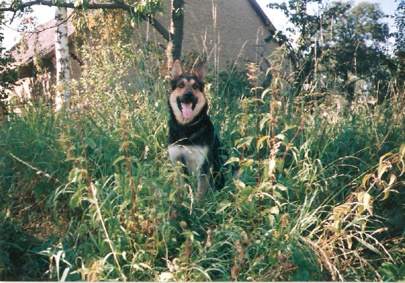 Foto: poctivě hlídám...