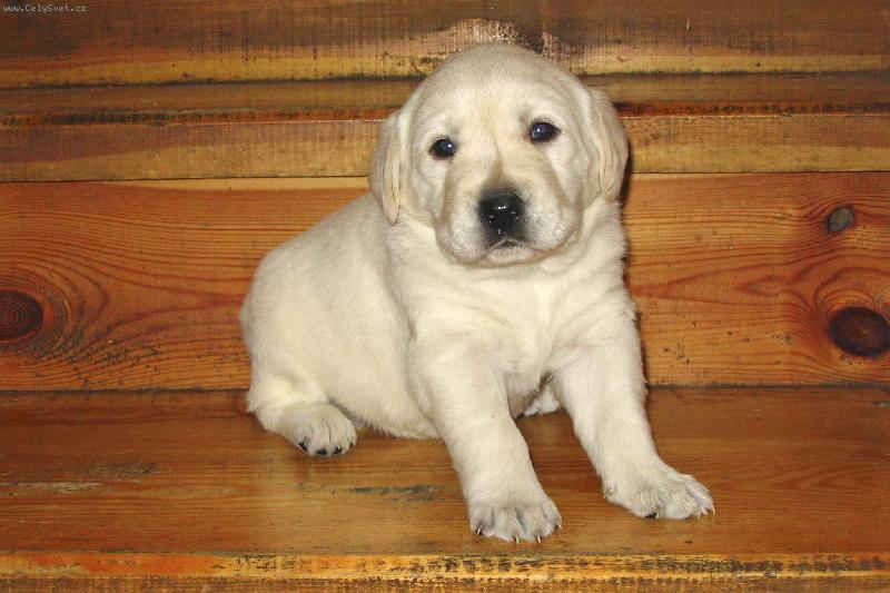 Foto: Aisha-To mi jsou 3 týdny.