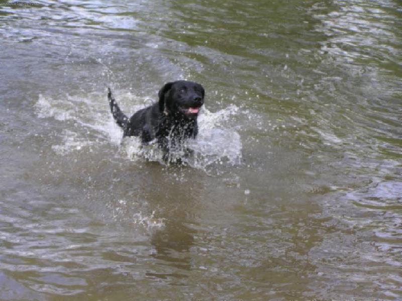 Foto: Vodní živel...