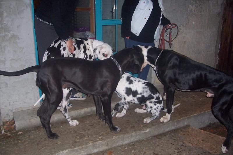 Foto: Bubi na návštěvě