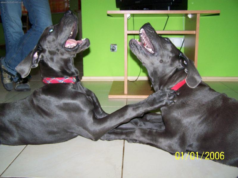 Foto: Pěvecké duo-Sestry v akci