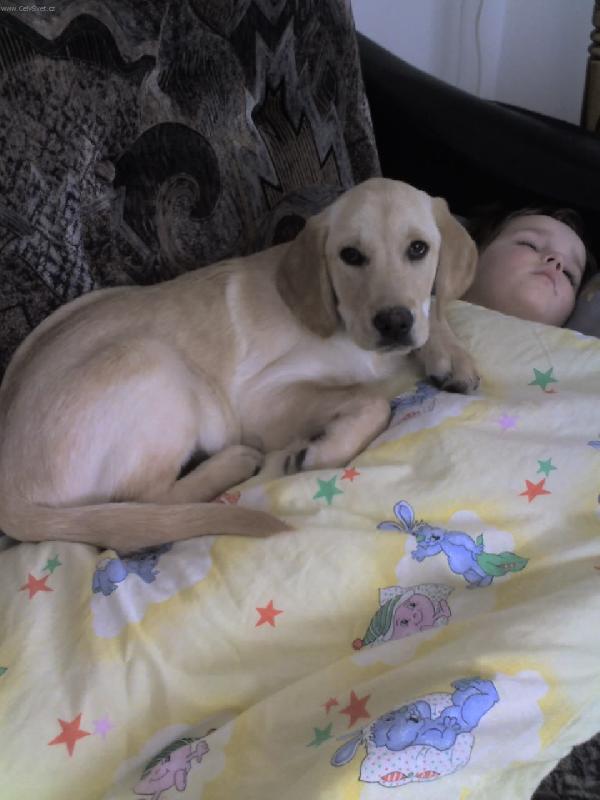 Foto: Denna a Romanek