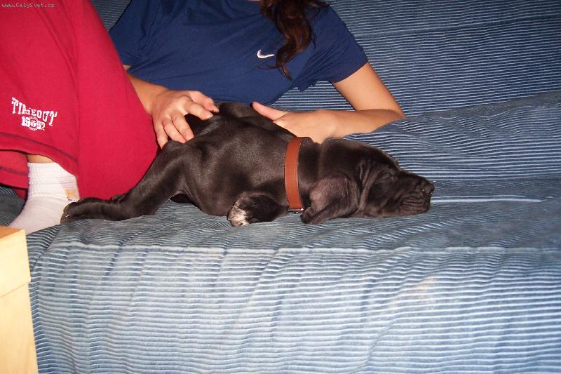 Foto: nerušit spinkám....