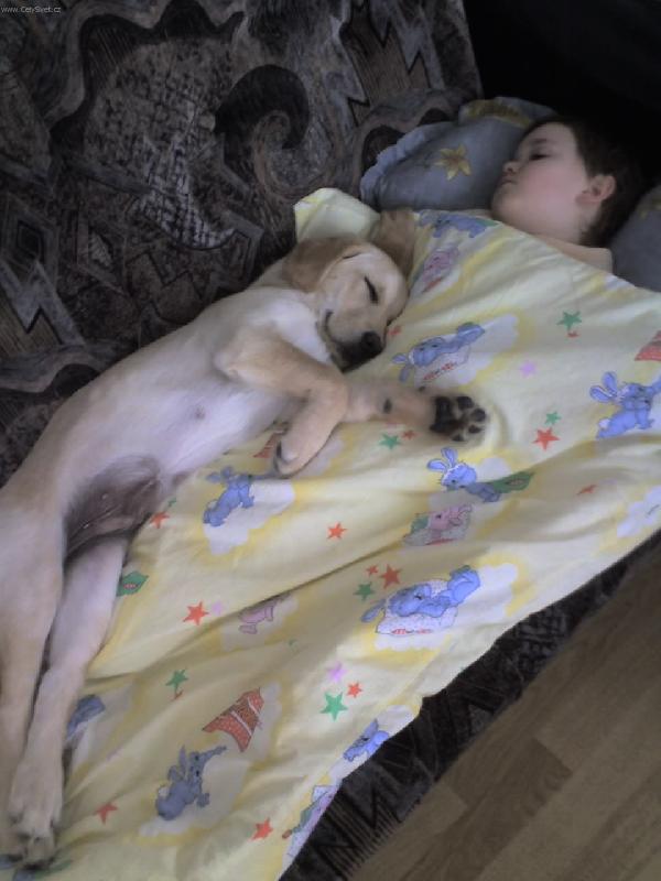 Foto: Denny a Romanek-Denny take usnul...to je hezkeee...