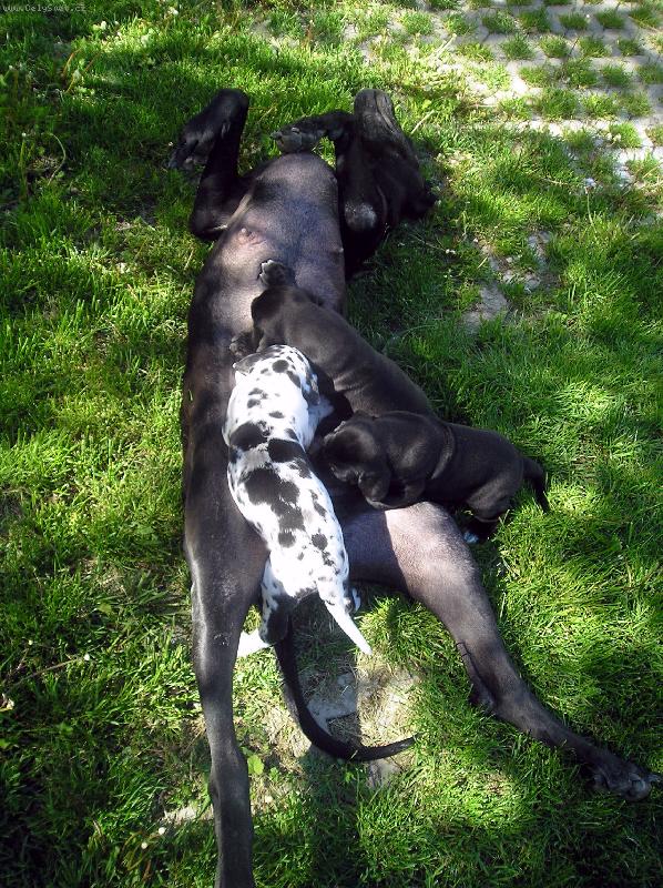 Foto: Kouzelná máma-Maminka s mimčama