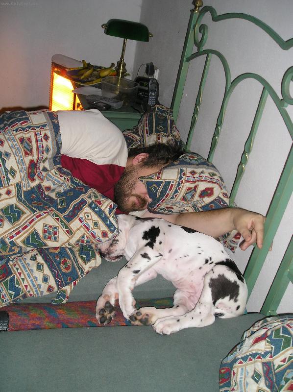 Foto: Tak se u nás spinká-páneček a malý Bonaparte Regia Uttis